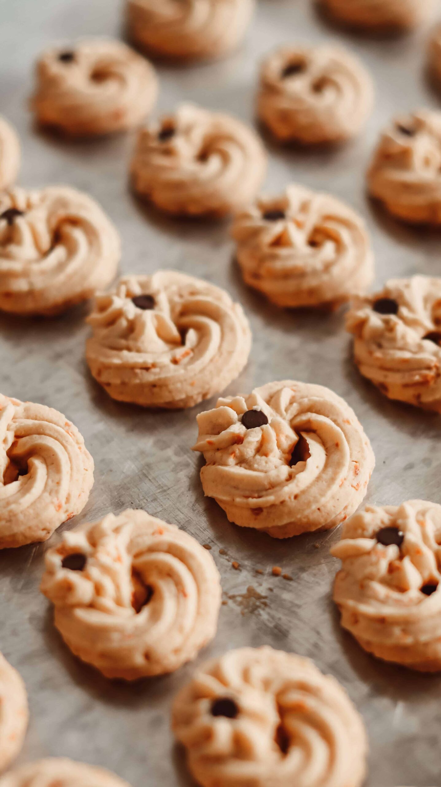 Pumpkin Peanut Butter Breakfast Cookies